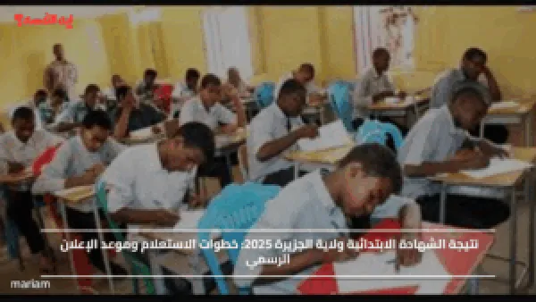 نتيجة الشهادة الابتدائية ولاية الجزيرة 2025.. خطوات الاستعلام وموعد الإعلان الرسمي