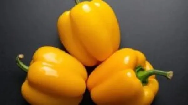 الفلفل الأصفر يتفوق على البرتقال.. المصدر الذي أغفلته لتقوية مناعتك.