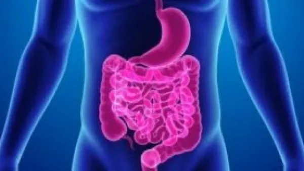 وداعًا للانتفاخ والكسل.. تطهير القولون طبيعيًا يبدأ من 7 أطعمة بسيطة.