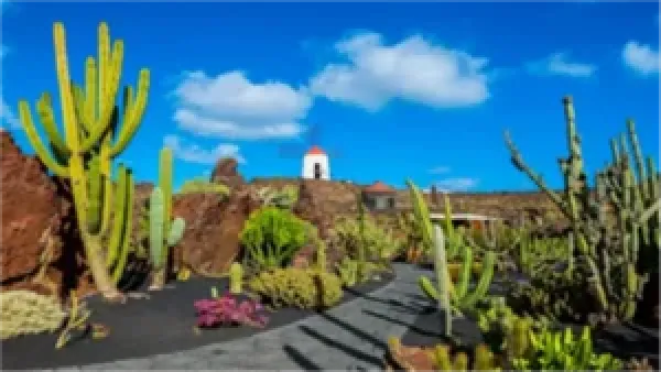 المناطق الممنوعة من السفر في 2026 تشمل جزر الكناري بسبب أسباب أمنية وصحية واضحة