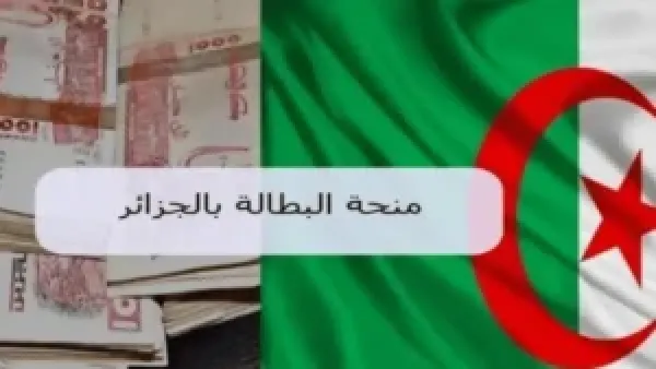عاجل.. مجلس الوزراء يقرر رفع منحة البطالة إلى 18 ألف دج 