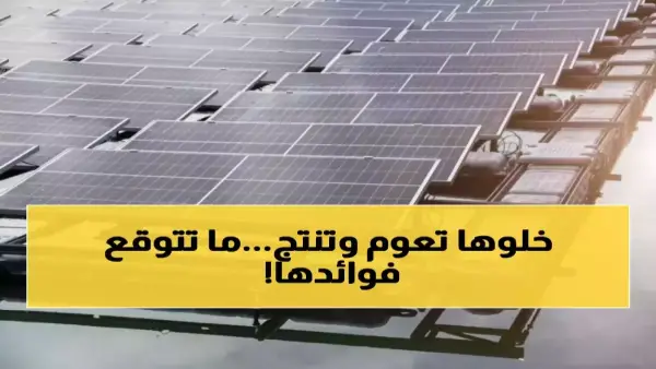 محطة عائمة بالسعودية.. مشروع طاقة شمسية مبتكر لإنتاج الكهرباء وحماية المياه من التبخر