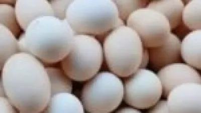 أسعار البيض في سوهاج تصل إلى 4.17 جنيه مع استقرار أسعار البقوليات اليوم السبت