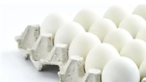 أسعار كرتونة البيض في الأسواق المصرية تنتعش مع استقرار وانخفاض مستمر منذ أسابيع