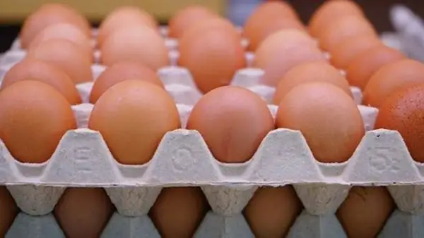 تحديثات الأسعار.. تباين سعر كرتونة البيض والدواجن في الأسواق المصرية اليوم
