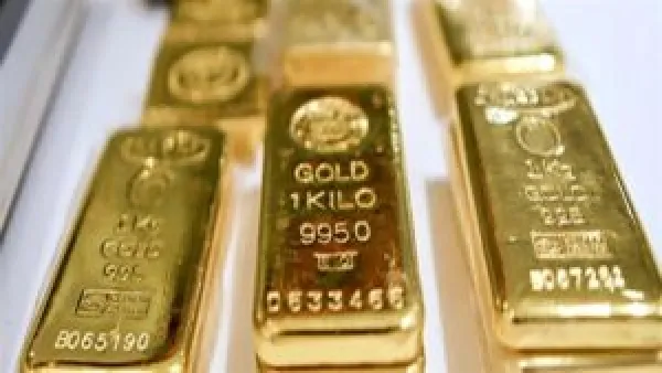 سعر سبيكة الذهب btc يتحدد اليوم الخميس 20-11-2025 في سوق الصاغة وترتيب السوق على المستهلكين