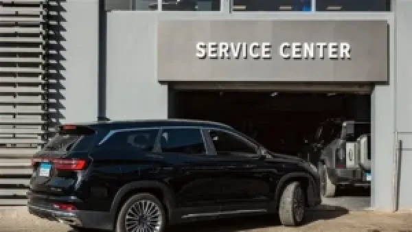 ارتفاع تراخيص السيارات الملاكي 4% في نوفمبر 2025 يعكس تعافي سوق السيارات المحلية