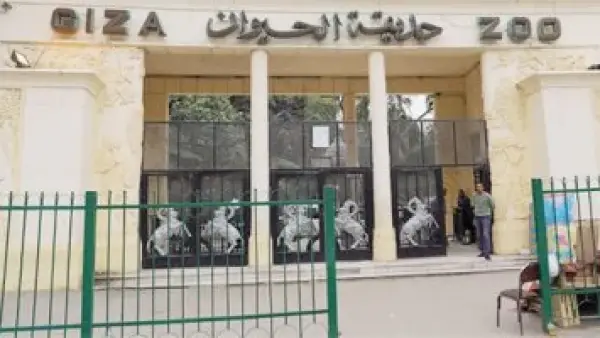 3 مراكز متخصصة.. مشروع جديد لدراسة علوم الأحياء في حديقة الحيوان بحدائق تعلن عن إنشاء 3 مراكز تعليمية متخصصة بعلوم الأحياء في حديقة الحيوان