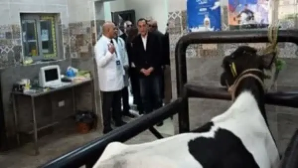 رئيس الوزراء يعاين تقدم الوحدة البيطرية في قرية نوى ضمن مشروعات حياة كريمة بالقليوبية