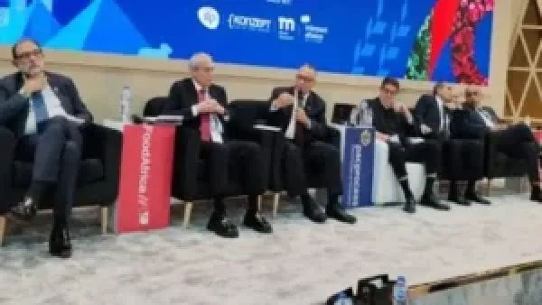 مليار دولار نمو في صادرات قطاع الأغذية يعزز مكانة مصر التصديرية