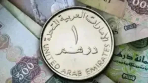 استقرار سعر الدرهم الإماراتي مقابل الجنيه المصري يواصل تعامله الثابت في 9 ديسمبر 2025