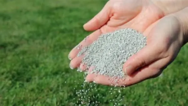 ارتفاع أسعار الأسمدة يصل إلى 2703 جنيهات وتأثيره المباشر على مزارعي ديسمبر 2025