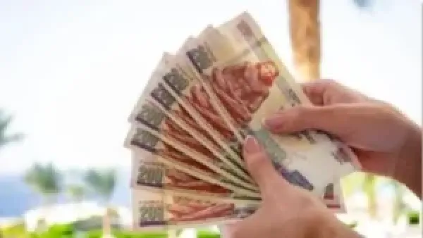 شهادات الادخار 27% تتوقف في يناير وتطرح تفاصيل الشروط والتجديد للمستثمرين