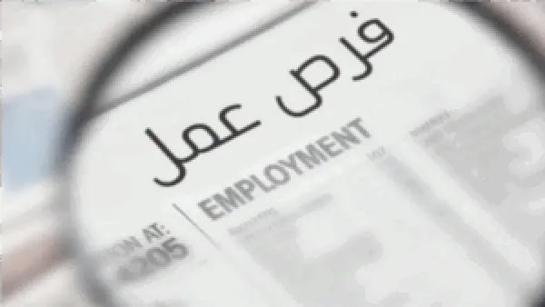 رواتب تصل إلى 16 ألف جنيه.. فرص عمل لـ185 وظيفة في السويس وشروط التقديم