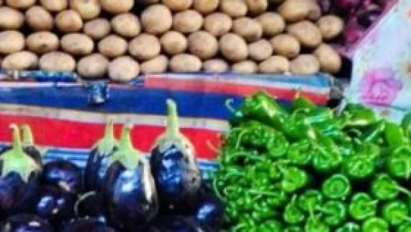 بينها البصل بـ12 جنيها.. أسعار الخضراوات في أسواق مطروح ليوم الأحد الجديد