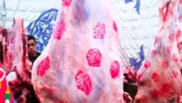 أسعار اللحوم في أسواق مطروح السبت 6-12-2025: البلدي يصل إلى 400 جنيه
