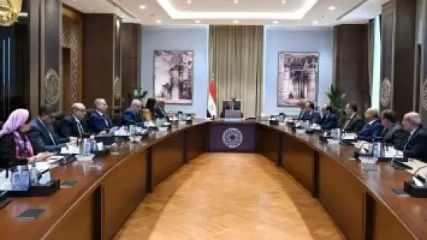 توجيهات حكومية.. خطة تأمين احتياجات السوق المحلية عبر التنسيق مع كبار المصنعين