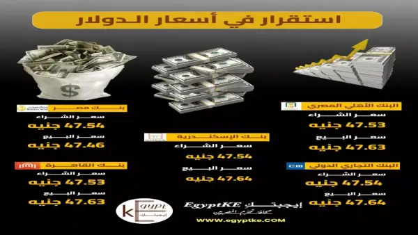 سعر الصرف يستقر.. الدولار يسجل 47.5 جنيه في تعاملات المصارف المصرية اليوم بنهاية 2025