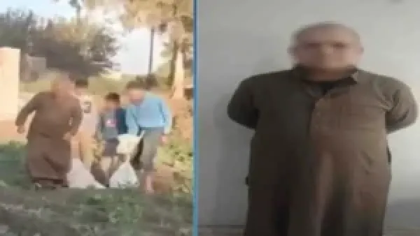 عقوبة الاعتداء على الحيوانات بعد انتشار فيديو جمع كلاب صغيرة للتخلص منها