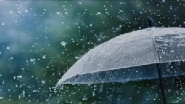 طقس الغد في القاهرة والمحافظات: أمطار متوسطة إلى غزيرة وانخفاض واضح في درجات الحرارة