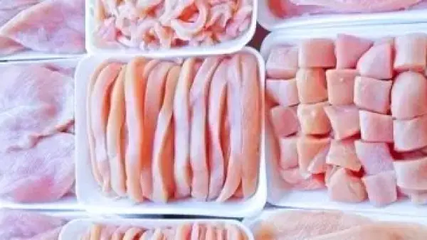 زيادة جديدة.. تحرك مفاجئ في أسعار الدواجن داخل أسواق الأقصر اليوم السبت