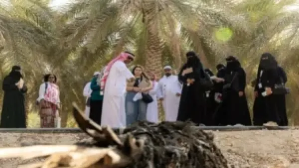 ضباب كثيف يقلص الرؤية إلى متر واحد ويوقف حركة المرور في الشرقية