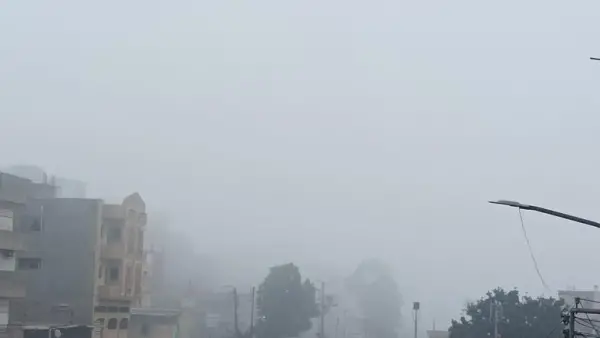 تحذير الأرصاد.. ضباب كثيف يحجب الرؤية على الطرق حتى العاشرة صباحاً