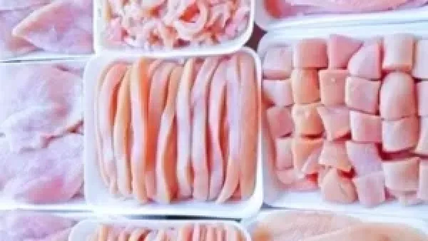 أسعار البانيه والدواجن في كفر الشيخ تتراجع اليوم الإثنين 8 ديسمبر 2025