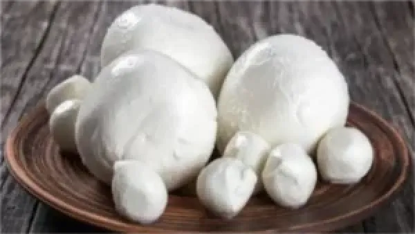 شراء الزبدة الفلاحي في يناير يضمن حفظها لفترة أطول وجودة طعم أفضل