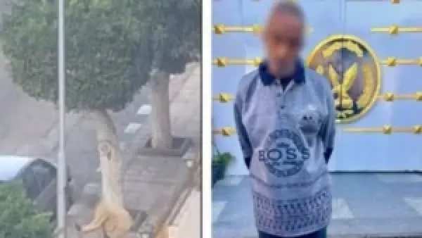 القبض على عاطل يسرق كابلات كهربائية من أعمدة إنارة في بورسعيد ويهدد سلامة المدينة