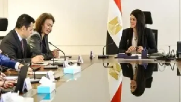 المشاط يؤسس وحدة للشركات المملوكة للدولة بصلاحيات واضحة لتعزيز إدارة الأصول وزيادة الاستفادة منها