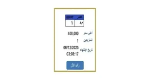 سعر لوحة السيارة المميزة يرتفع إلى 400 ألف جنيه مع خطوات التزايد الأخيرة