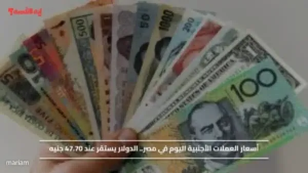 أسعار العملات الأجنبية اليوم في مصر.. الدولار يستقر عند 47.70 جنيه