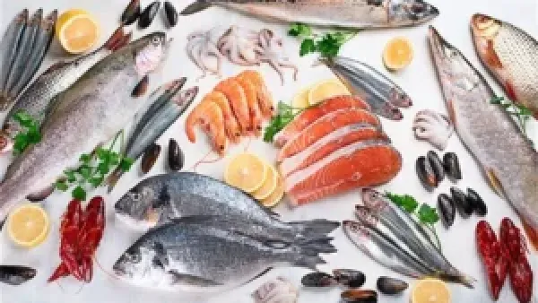 تفاوت أسعار السمك في سوق العبور: ارتفاع البلطي مقابل انخفاض الجمبري والبربون