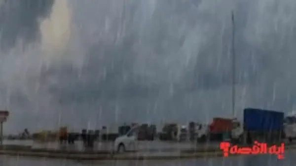شتاء قارس.. حالة الطقس غدا الأحد أمطار رعدية بغزارة حتى 2026