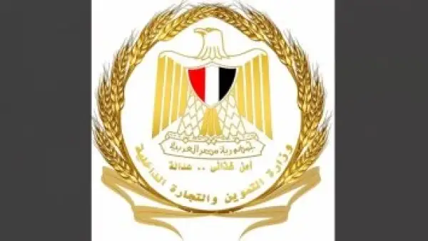 تحول رقمي شامل.. وزارة التموين تعلن تقليص زمن إنهاء الخدمات بالمكاتب المطورة