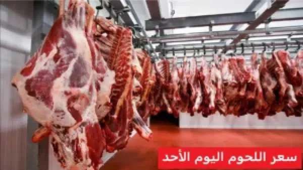 ارتفاع طفيف.. اسعار اللحوم اليوم الأحد 30 نوفمبر 2025 داخل السوق المحلي ومنافذ البيع الحكومية المختلفة