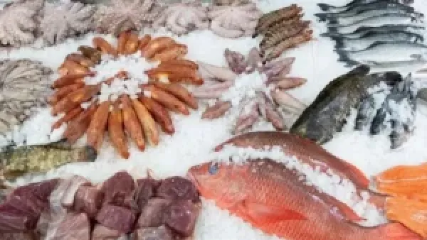 سعر السمك اليوم: ارتفاع البلطي إلى 58 جنيها وتصاعد أسعار الجمبري والمكرونة يؤثر على تكلفة المائدة المصرية