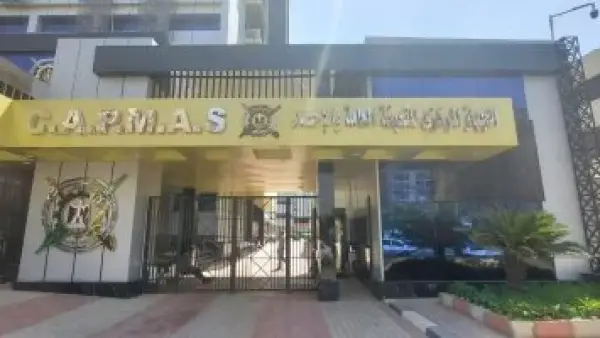 قائمة سلع استراتيجية.. تراجع جديد في واردات مصر خلال تعاملات شهر سبتمبر