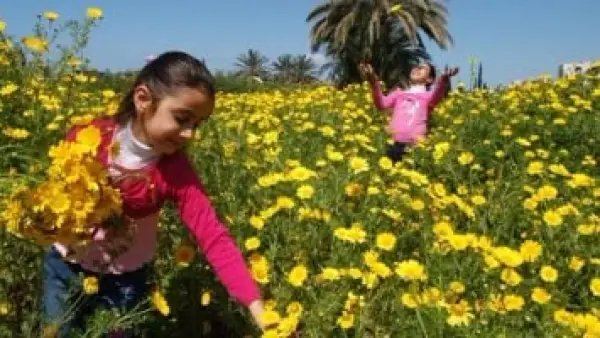 بداية فصل الربيع.. متى يشهد العالم انطلاق أول فصول العام 2026؟