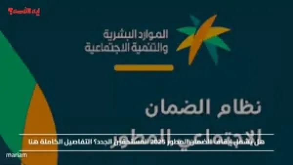 هل يشمل إيقاف الضمان المطور 2025 المستحقين الجدد؟ التفاصيل الكاملة هنا