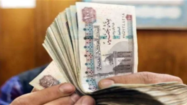 شوف معاشك كام! طريقة الاستعلام عن المعاش بالرقم القومي عبر الموقع الرسمي للتأمينات المصرية من وانت بمكانك