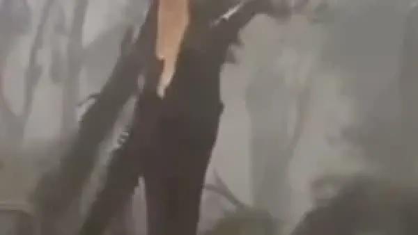 انقطاع الكهرباء في ساو باولو يؤثر على حياة 4 ملايين شخص ويكشف تحديات البنية التحتية برقياً