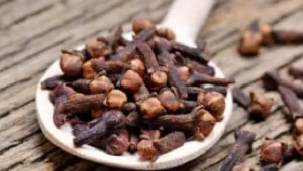 مضغ القرنفل بانتظام.. وسيلة طبيعية لتعزيز المناعة وضبط مستويات السكر.