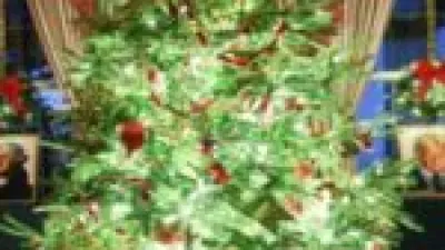 أدوات بسيطة.. كيف تصنع شجرة الكريسماس في 10 دقائق من داخل منزلك؟