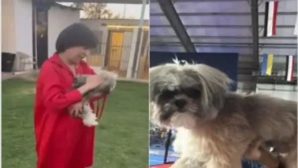 وفاة كلب في ثوانٍ تمنع صاحبتها من مواجهة الفقد وتقودها لتحدي قانوني حول حقوق الحيوانات