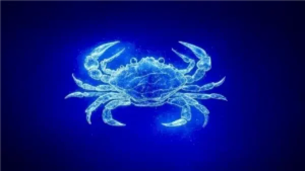 تجدد فرص العمل والاستقرار العاطفي يعيد توازن حياة مولود برج السرطان