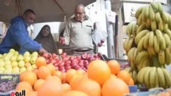 أسعار فاكهة الشتاء في أسواق ومحلات الأقصر تعكس تغيرات السوق المحلية