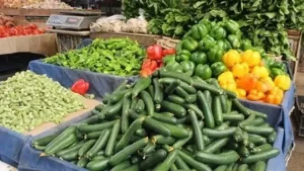 ارتفاع سعر الخيار 5 جنيهات في سوق العبور اليوم مع تراجع أسعار الطماطم وثلاث أصناف خضار أخرى