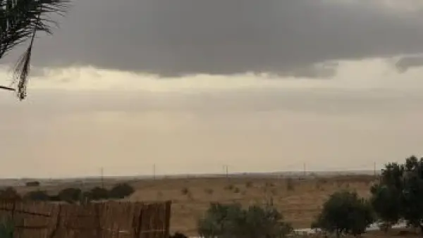 تحذير لجميع المزارعين.. 5 نصائح من مركز المناخ لحماية المحاصيل من موجة البرد